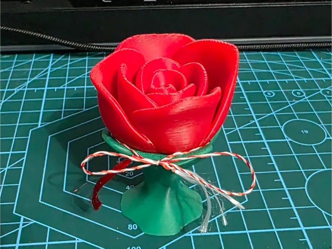 Rose on the table