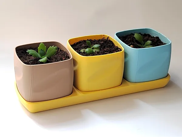 https://makerworld.bblmw.com/makerworld/model/US3e6d264ad3c1ff/design/2025-04-26_43eb50b5c6973.jpg