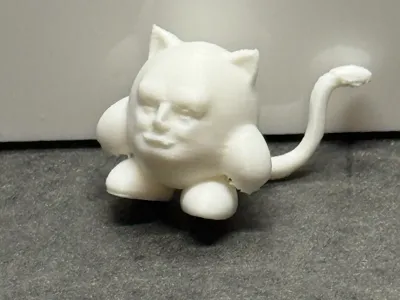 Kirb Cat