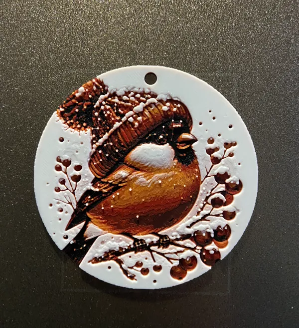 https://makerworld.bblmw.com/makerworld/model/US3e6e39d16afc8e/design/2024-12-02_6779ec65af35e.jpg