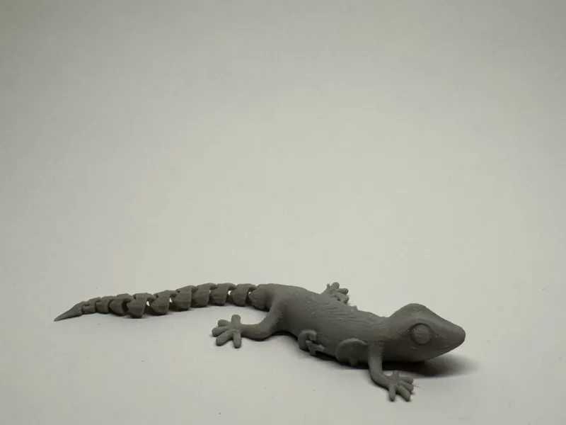 Articulated Lizard