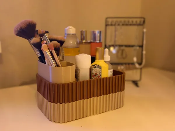 https://makerworld.bblmw.com/makerworld/model/US3e6eb84fe280a9/design/2025-12-24_86da7521f43208.jpeg
