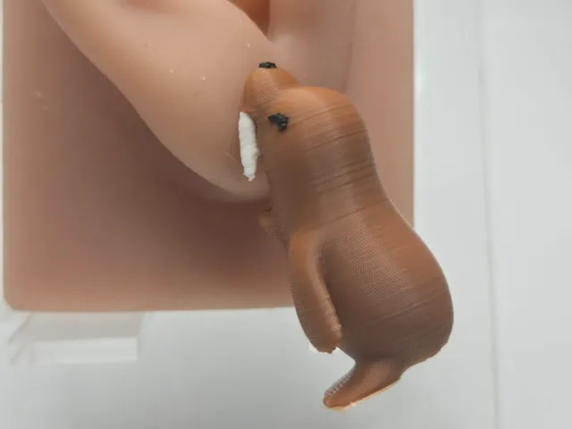 Walrus Chompers Earrings