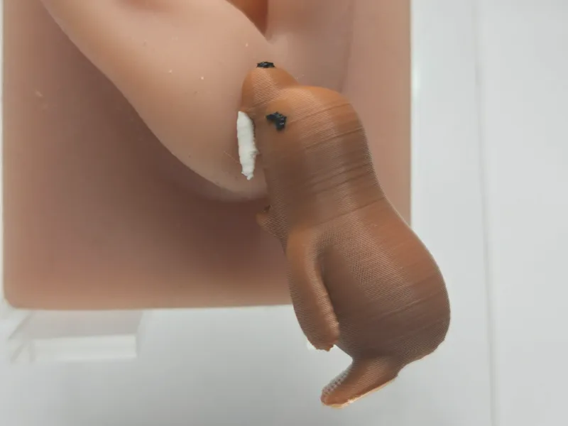 Walrus Chompers Earrings