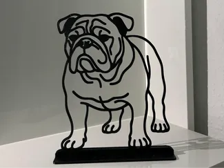 English Bulldog