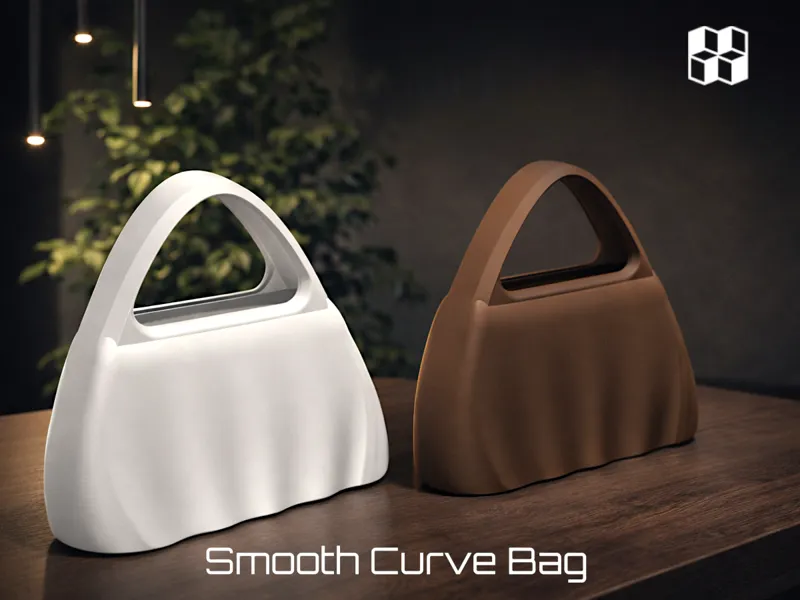 Smooth Curve Bag