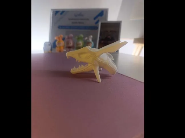 Rayquaza Skull