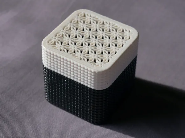https://makerworld.bblmw.com/makerworld/model/US3e77d417fe9f04/design/2024-07-11_faca926d4e9a9.jpg