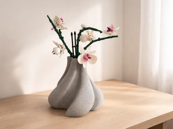 https://makerworld.bblmw.com/makerworld/model/US3e78c1d50599d0/design/d7fe42f75b573d7a.png