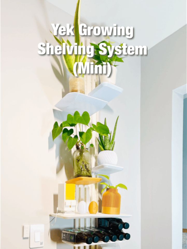 Yek Growing Shelving System (Renters Friendly)
