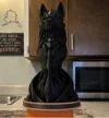 Stone Wolf