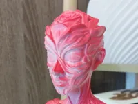 0.16mm layer, 2 walls, 5% infill