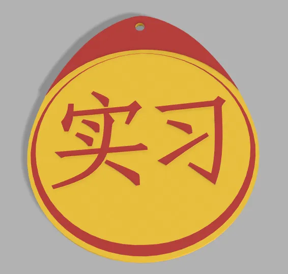 实习车贴  Internship logo