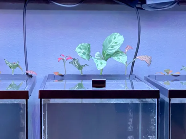 https://makerworld.bblmw.com/makerworld/model/US3e8bfb20076283/design/2025-12-12_6c78b13b498e5.jpeg