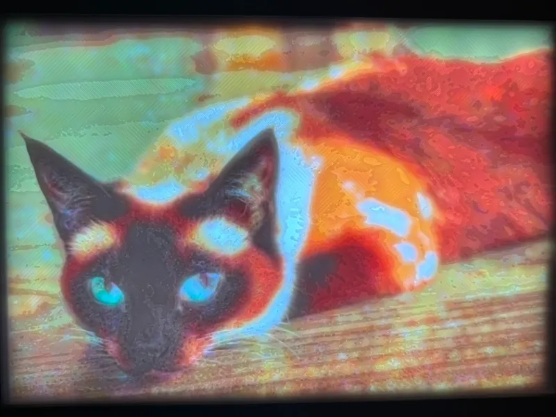 siamese cat lithophane
