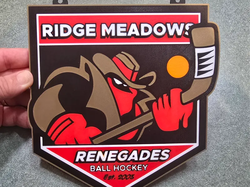 Ridge Meadows Renegades Ball Hockey