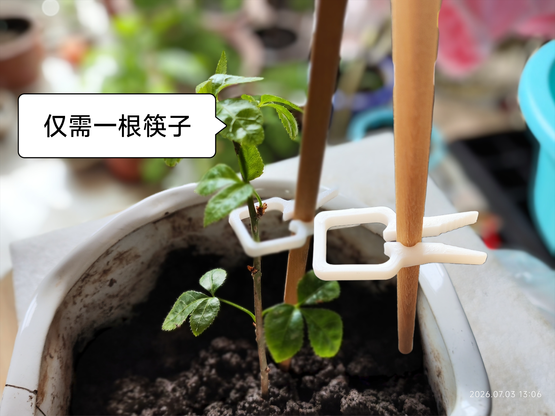 幼苗防倒伏支架夹，1.28克，十分钟极速打印，完美适配筷子高度与厚度