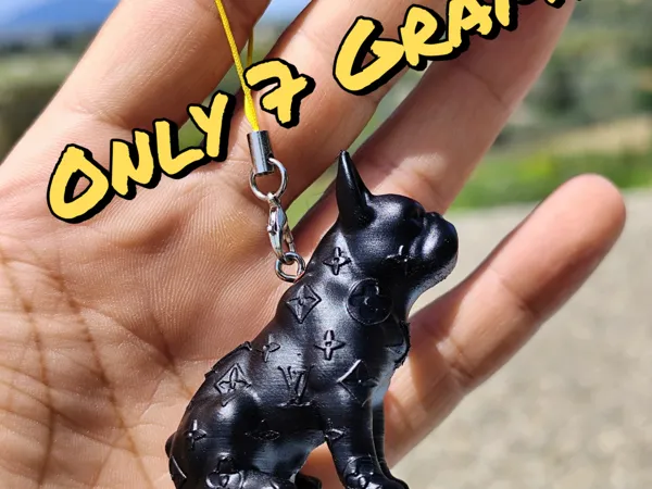 https://makerworld.bblmw.com/makerworld/model/US3e9a09e0a559bf/design/2025-04-24_93e6c0cb3d02a.png