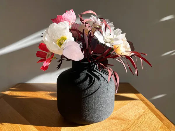 https://makerworld.bblmw.com/makerworld/model/US3e9d8eec6cb387/design/2026-01-06_7c484174629d1.jpg