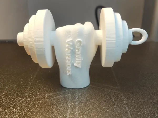 https://makerworld.bblmw.com/makerworld/model/US3ea49dbf35fee4/design/2025-02-26_b80324bd05557.jpeg