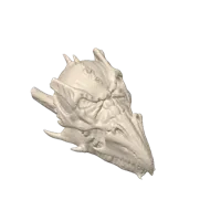 Crâne de dragon — objet déco — photo 2