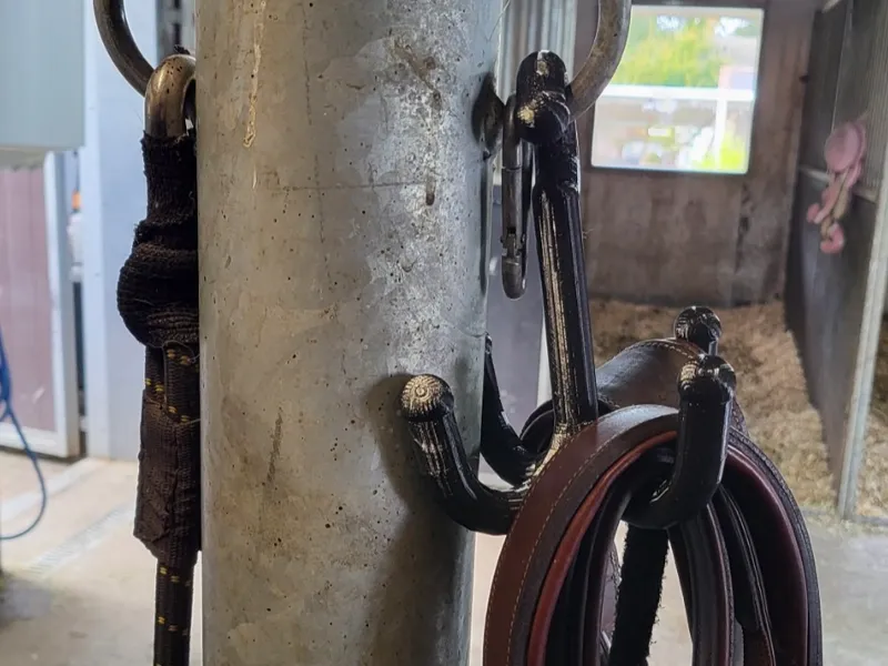 Four Prong Hanging Bridle Hook