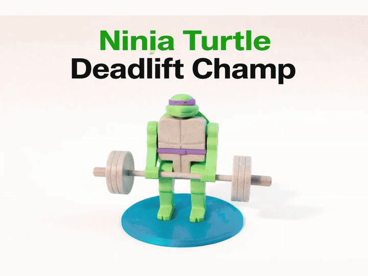 Ninja Turtle Deadlift Champ