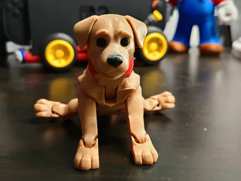 Articulated Labrador