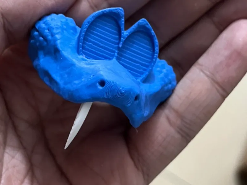 盖瑞蛇 分体的牙跟头盖