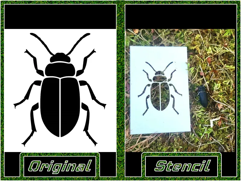 Darkling Beetle Stencil
