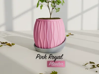 Pink Royal Planter