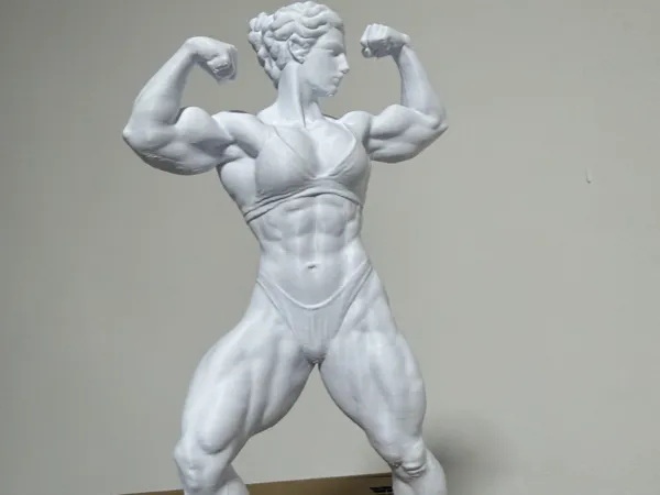 https://makerworld.bblmw.com/makerworld/model/US3eb6c98a0bce4a/design/2025-10-16_e15202c711fff.jpg