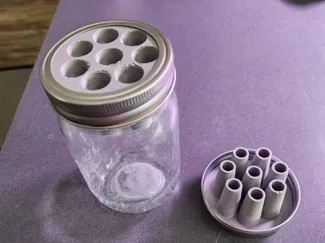 Green Onion Mason Jar Lid
