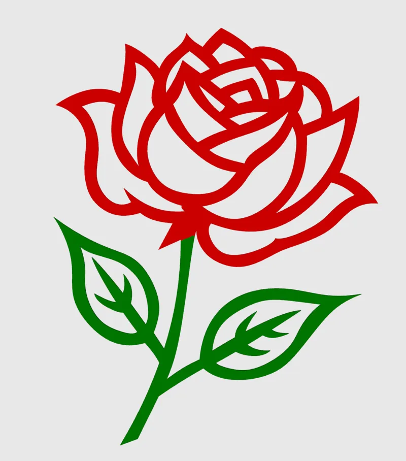 International Women's Day Rose 3 