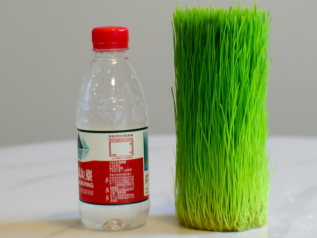 矿泉水瓶 加湿器&植物培养