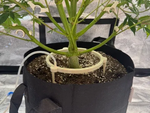 https://makerworld.bblmw.com/makerworld/model/US3ec4404acdbd43/design/de6a976455021cbb.jpeg