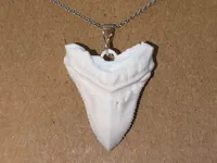 Version 1 (einfarbig)