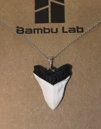 Version 2 (mehrfarbig)