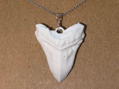 Shark Tooth Necklace/Pendant