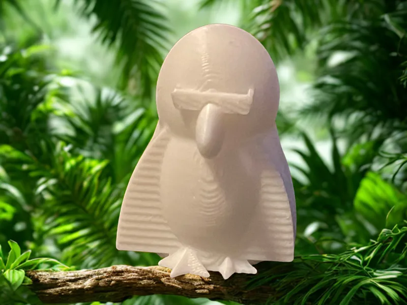 Cool Bird