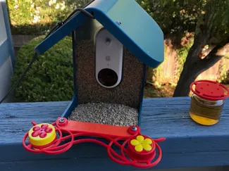 Bird Buddy Perch, humming bird feeder jar adapter
