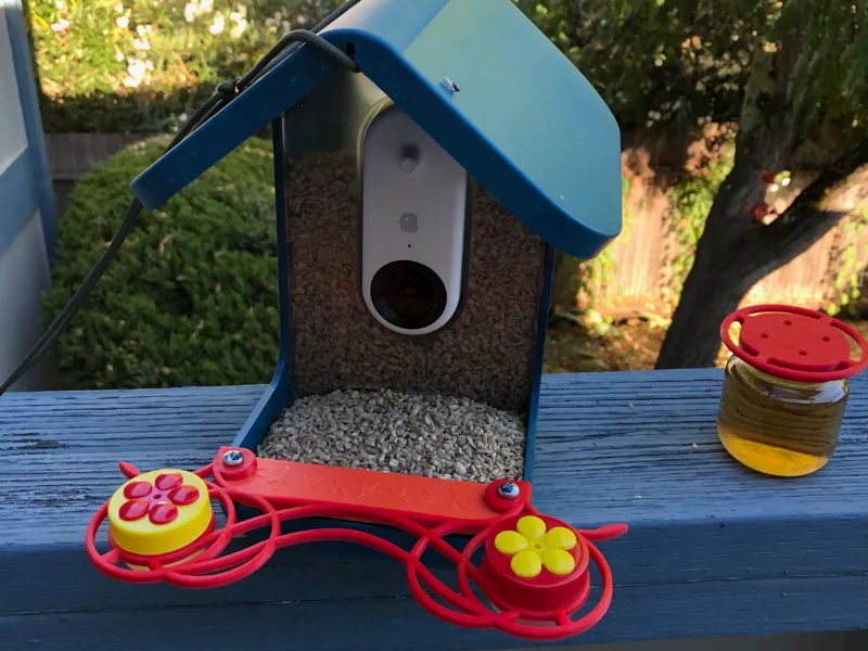 Bird Buddy Perch, humming bird feeder jar adapter