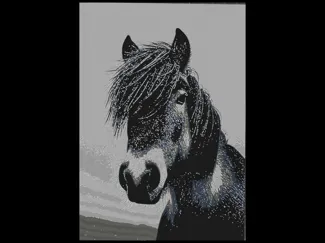 Hueforge Donkey
