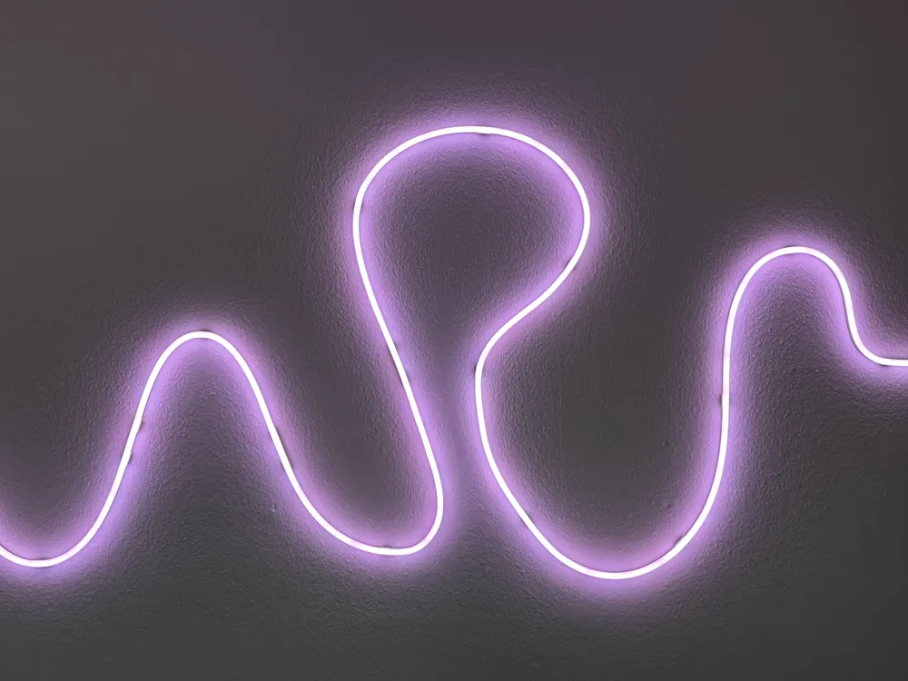 Govee Neon Rope Light 2 Wallmounts - Free 3D Print Model - MakerWorld
