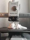 Improved And a NonFlexi Version 0.2mm layer, 15% infil