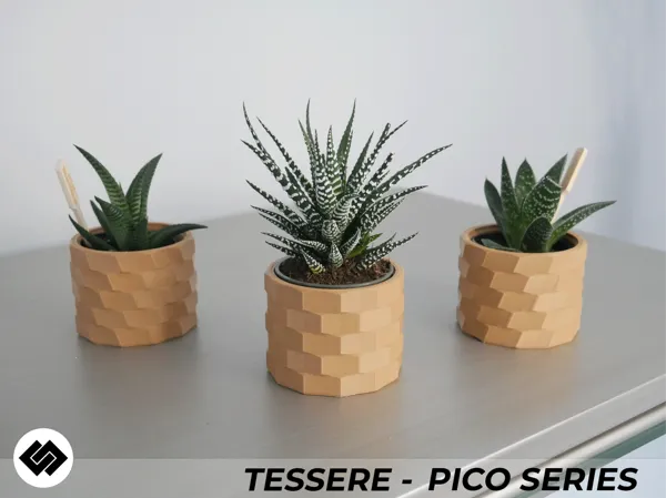 https://makerworld.bblmw.com/makerworld/model/US3ed61da244cee/design/2024-06-06_9cf4c4dced96f.png
