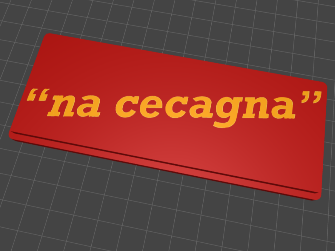 Portachiavi ''na cecagna''