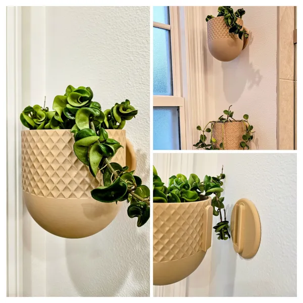 https://makerworld.bblmw.com/makerworld/model/US3edadd9507d8fd/design/2024-02-07_502d62809e65b.jpg