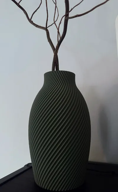 Elegant Spiral Textured Vase - Vase Mode