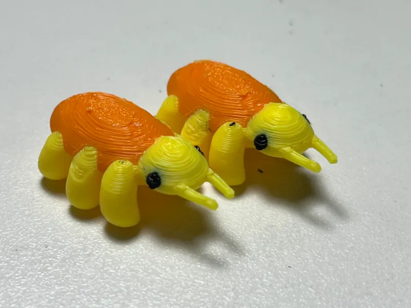 cute beetle
